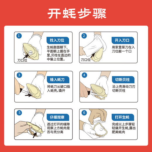 Fresh Jingcai Fresh Oysters 6XL Net weight 5Jin Jin is equal to 0.5kg 6-8 oysters Fresh to your home Fresh seafood Straight from the source