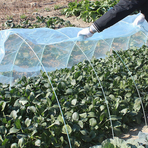 White plastic film, small shed film, plastic, thermal insulation and moisturizing, vegetable greenhouse film, mulch film, waterproof plastic 20Jin Jin is equal to 0.5kg 2 wires thick 2 meters wide 210 meters long