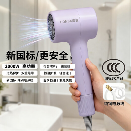 GUANGBA New National Standard Plasma Hair Dryer Hair Care Silent Quick-drying Anti-static Smooth Hair Dryer Hairstylist Special Barber Shop Home Quick-drying Negative Ion Hair Care Hair Dryer Lavender Purple New National Standard Safer 2000W + Styling Nozzle 1.8M Pure Copper Power Cord