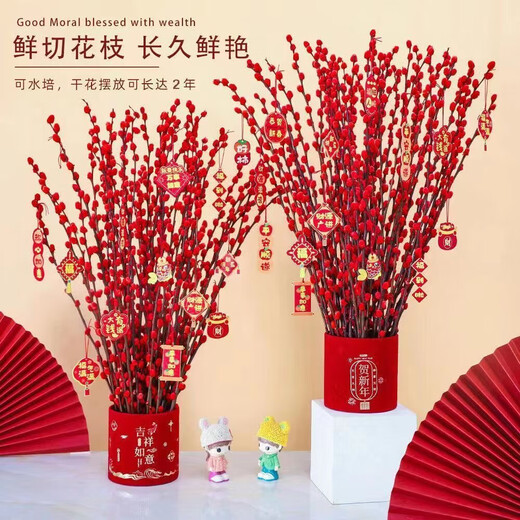 Silver willow real flowers, fresh branches, New Year's Eve flowers, red dried flowers, blessing bucket, silver willow, hydroponic plants, flowers, living room interior decoration, high-quality A-grade silver willow festive red 45 cm, 20 pieces + 2 small lanterns