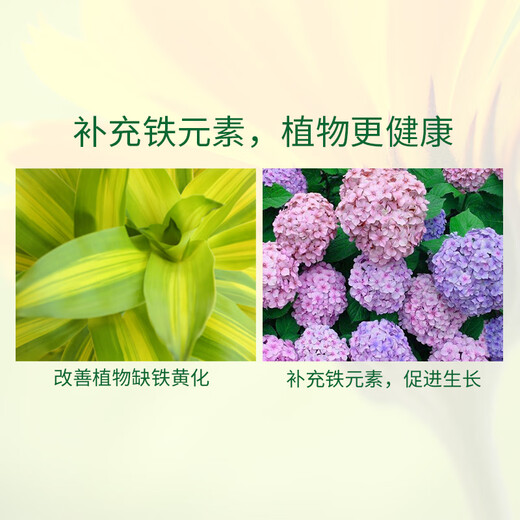 Guoguang Shiqi ferrous sulfate regulates acid and alkali, supplements iron, promotes photosynthesis and improves yellow leaf flowers, genuine flagship invoice 500g*1 bag
