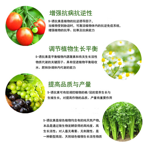 Guoguang Dynamics S-induced antibiotic aqueous tobacco induced drought and cold resistance, disease resistance, salt tolerance and increased yield plant growth regulator 1000ml