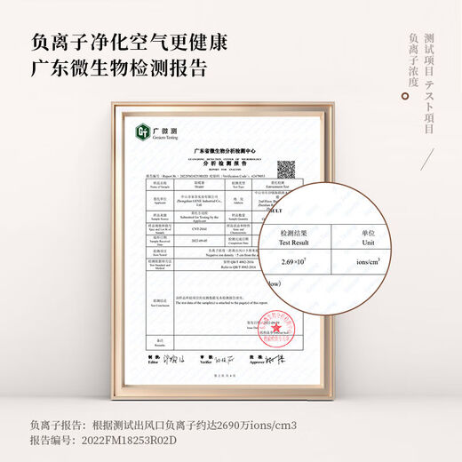 GENE by HIROSE Japanese graphene heater heater baby household energy-saving fast heating electric heater small foot warmer CNT-20AI white