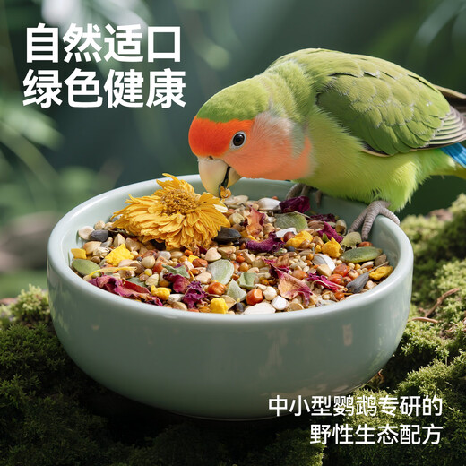 Qi Oh parrot bird food bird food seed food peony tiger skin black phoenix special nutritional mixed food for small and medium-sized parrots full price small and medium-sized parrot food one pack (454g)