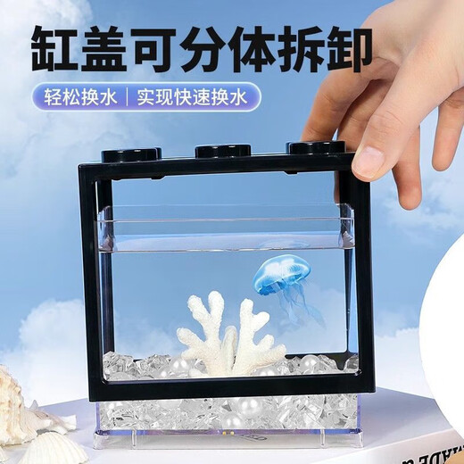 Desktop fish tank, small household building block tank, ecological tank, aquarium, betta fish tank with night light, ambient light ornament, white fish tank with two lights