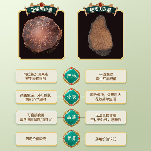 Tuoxiang zhenbao alaxan entier cistanche désert huile extra mous cistanche désert huile épaisse viande de cistanche trempée avec du vin chinois médicinal