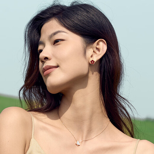 Dukou Lucky Earrings Women's Carnelian Light Luxurious Earrings High-end Exquisite and Elegant Birthday Gifts for Girlfriend and Wife