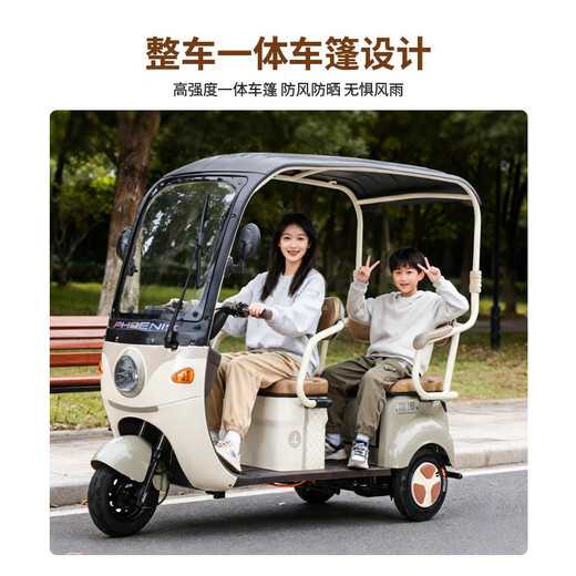 Phoenix Fengya electric tricycle household electric motorcycle adult electric vehicle small tricycle electric vehicle with shed Chaowei battery 600W+60V24A black gold + battery life about 50 kilometers