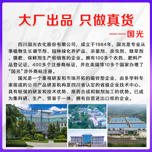 Guoguang 15% paclobutrazol powder, plant shortness agent, rice seedling field control, leggy growth and tillering growth regulator 1000g