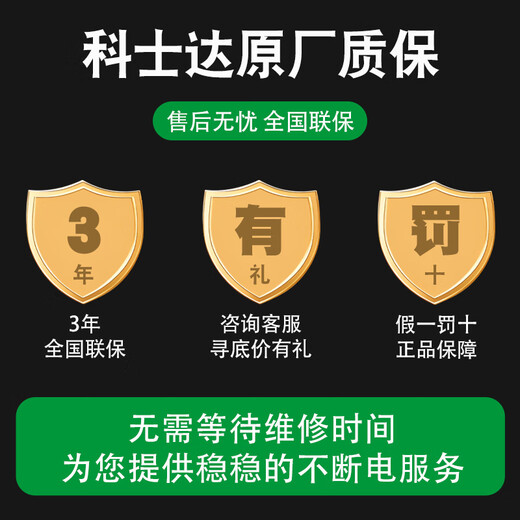 科士达UPS不间断电源YDC9101H-RT机房空调服务器电脑后备电源稳压续航应急防断电 YDC9100-RT系列（定1金）