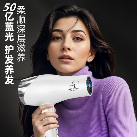 Xiaoya (XIAOYA) 2400W high-power hair salon hair dryer negative ion blue light hair care folding hair dryer powerful high-speed large hair dryer King top version Honor White + 2400W + free air nozzle + foldable 4.5 billion blue light ion hair care typhoon-level wind movement