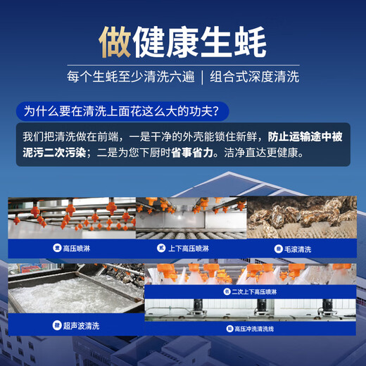 Bassling Fresh Rushan Ecological Oysters 8XL Net weight 9Jin Jin is equal to 0.5kg 8-11 pieces Straight from the source