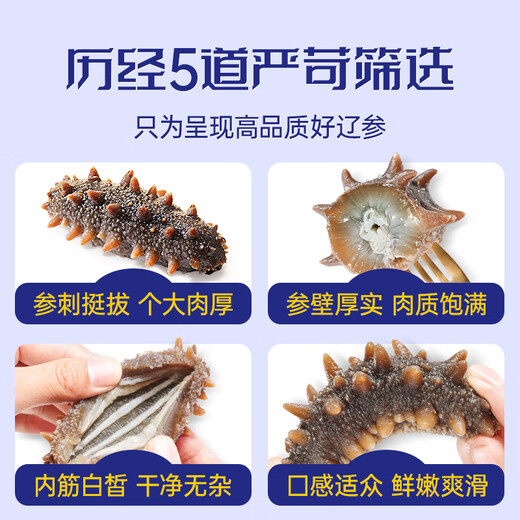 Fukouju Dalian verzehrfertige Seegurken, offener Beutel verzehrfertiger Liaoning-Ginseng, Meeresfrüchte und Wasserprodukte, Geschenke zum Mittherbstfest, verzehrfertige Seegurken, authentisch, Ration Ginseng, Strumpfkönig, verzehrfertiger 4Jin Jin entsprechend 0,5 kg, 56-64 Stück