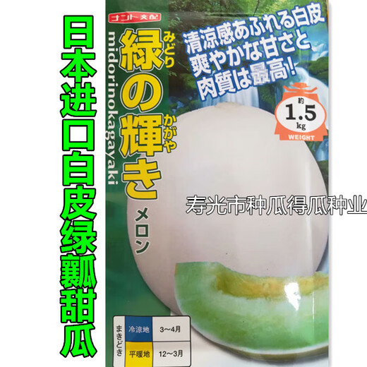 Japanese imported reticulated melon seeds, sweet watermelon horn honey seeds, fruit spring vegetable seeds, Japanese high-sugar melon 100 original pieces