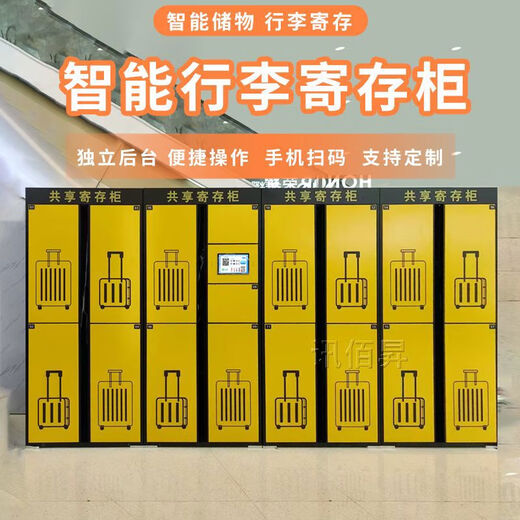 Yonghuan Scenic Spot WeChat Scan QR Code Internet Luggage Locker Mall Charged Smart Locker Bar Shared Bag Storage 10 Points 1 Inch Smart Locker