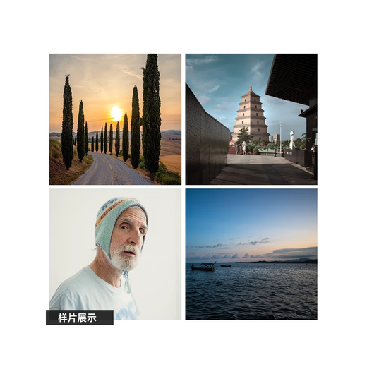 SIGMA art wide-angle telephoto mirrorless fixed focus lens 24mm F1.4 DG DN L mount