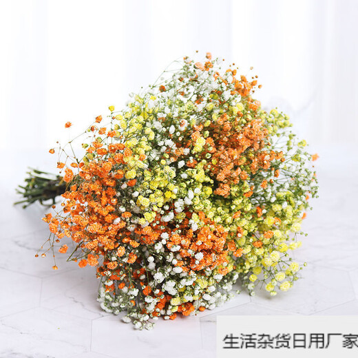 Gypsophila dried flower bouquet air-dried real flowers living room decoration new house decoration ornaments table flower arrangement small fresh orange Gypsophila-including diamond vase