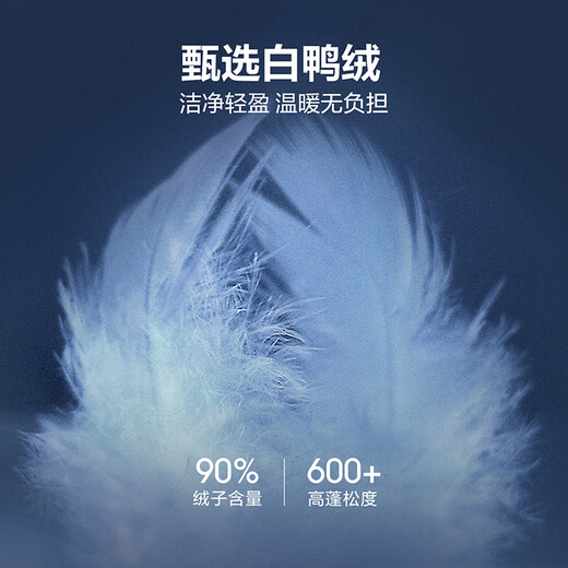 HLA Hailan House down jacket men's collar executive down jacket lapel warm duck down jacket men's 25 autumn and winter