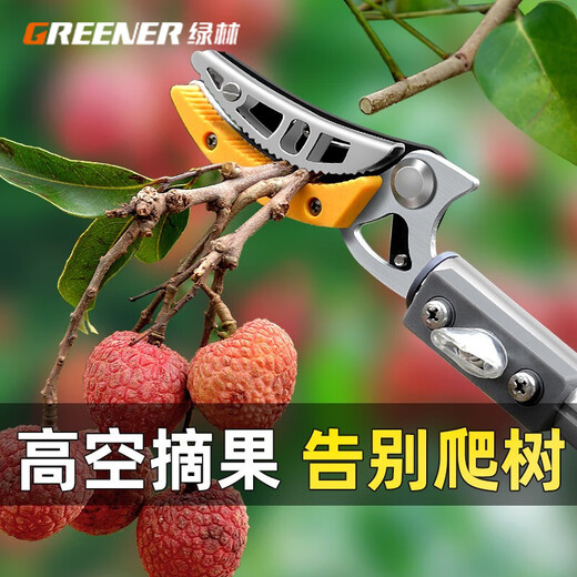Green Forest Fruit Picking Magic Telescopic Pole for Picking Persimmons, Fruit Scissors for Picking Loquats and Longan, High-altitude Picking Scissors for Toon Picking, 2 Sections of Strong Telescopic Style, 1.15-2.25 Meters + Saw Blade + Eye Protection