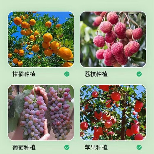 Orchard clearing agent inhibits pathogens, inhibits insect eggs, restores tree vigor, orchard dedicated clearing shed 180 fruit tree clearing garden, orchard clearing garden No. 1 500g*1 bottle