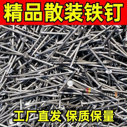 Vinoa iron nails, garden nails, foreign nails, construction nails, wood nails, household small iron nails, carpentry nails, 1 inch, 2 inches, 3 inches, wooden nails, flying disc, national standard - 4 inches, 10 cm/about 17 pcs, 200g