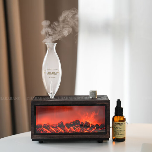 He Jiagong Fireplace Aromatherapy Machine Cold Aromatherapy Device Solid Wood Graduation Gift New Home Warming Gift for Boys C Deluxe Edition No. 16 Oriental Jasmine Green + No. 35 Jiabo