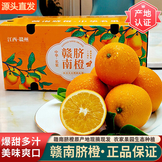 Collection of fresh Jiangxi and Gannan navel oranges, seasonal fresh orange fruits, freshly picked and shipped for holiday gifts, including box of 10 Jin Jin equal to 0.5 kg, net weight of 9 Jin Jin equal to 0.5 kg, preferred fruit 150-230g