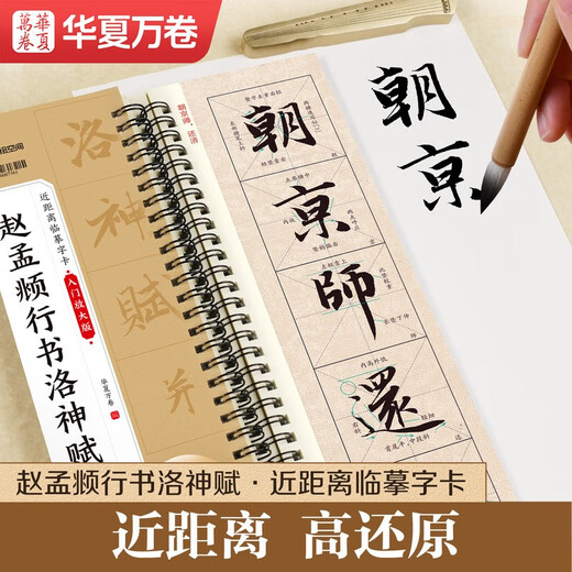 Huaxia Wanjuan brush inscriptions close-up copying calligraphy card entry enlarged version Zhao Mengfu's running script Luo Shen Fu Adult beginners' hobbies Zhao Mengfu's running script soft pen copying calligraphy