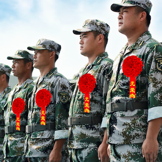 Huawoli Landscape Glory Corsage for Retirement and Retirement 2 Packs Wu Dahonghua Chest Commendation Corsage for Soldiers Military Double-sided Pin