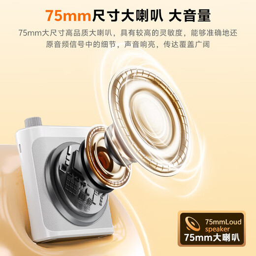 Xiaomi Buyi Lavalier Little Bee Amplifier Teacher's Dedicated Wireless Magnetic Lavalier Microphone One-to-Two Bluetooth Anti-Howling Instructor Outdoor Audio Portable Speaker Teacher Gift Wireless Little Bee Amplifier - Black