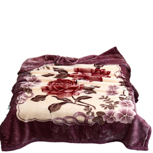 Shijanu New Product Blanket Class A Super Soft Student Baby Double Layer Single Blossom 180x220cm_6Jin Jin equals 0.5kg