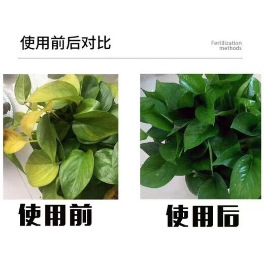 Russian imported urea fertilizer for vegetable cultivation, household original vegetable, flower, fruit tree, corn nitrogen fertilizer, agricultural general-purpose high-purity urea 100 Jin Jin equal to 0.5 kg large particles