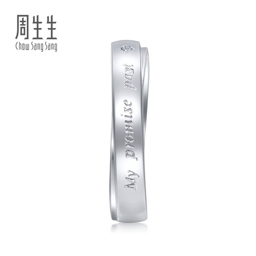 CHOW SANG SANG platinum ring V&A Museum joint couple ring men's 40097R 17 circles