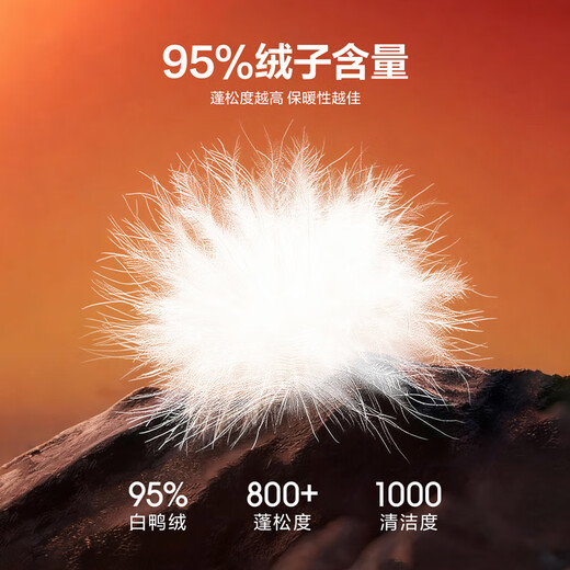 Recommended by the Chairman of Heilan House (HLA) 005 Down Jacket for Men Same Style as Zeng Shunxi Aurora 95 Down Jacket for Men Black 10 L 175/92A Recommended 140-160 Jin Jin is equal to 0.5 kg