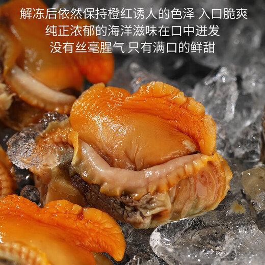 Zhuangyuanhai Dalian red clam meat 1 Jin Jin is equal to 0.5 kilograms, freshly peeled clam meat, blood clam meat, fresh, clean and sand-free, straight from the source