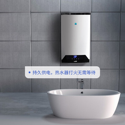 Philips Carbon Gas Stove Battery Large No. 1 Battery Suitable for Water Heater/Gas Stove/Flashlight/Radio/Electronic Organ No. 1 Battery R20 Philips Carbon No. 1 Battery 2 Blister