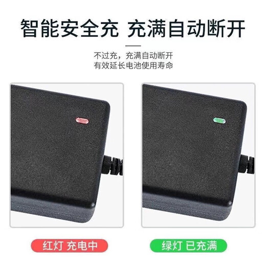 Electric balance car charger universal intelligent protection two-wheel lithium battery 36V three-hole DC round hole plug Arlang 42V1A type with cable 36V/42V2A balance car charger aviation flagship model