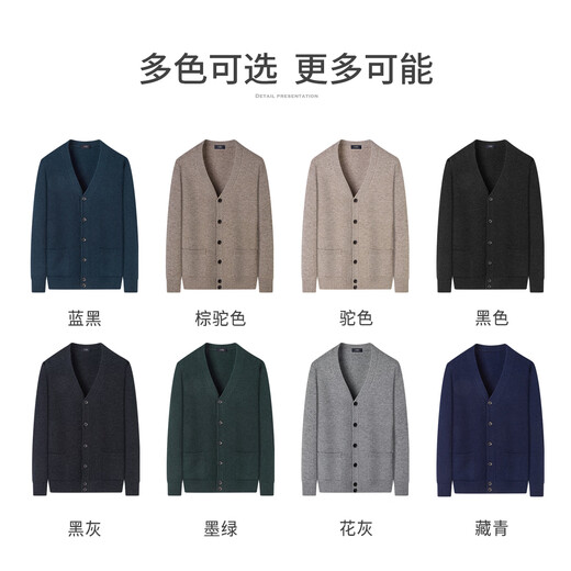 Shanshan 100 pure wool sweaters for men autumn and winter 2025 new warm autumn clothes business casual sweaters for men