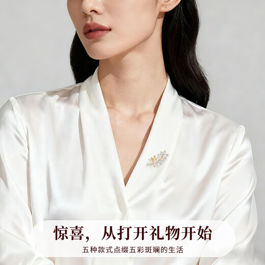 Huaying (HUAYING) light luxury high-end week brooch women's corsage high-end set gift box anniversary birthday gift for girlfriend/wife 5 pieces for girlfriend/wife* high-end brooch set