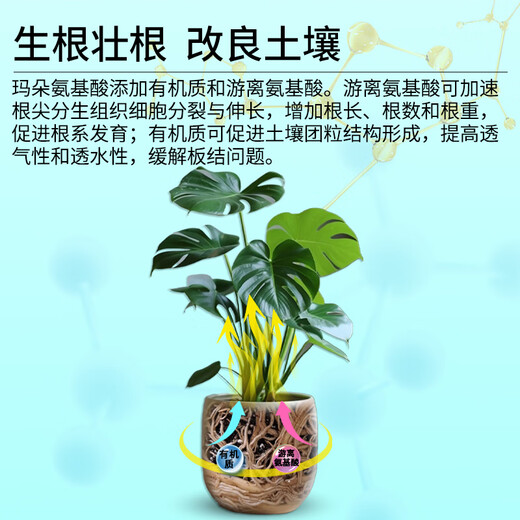 Kanamadu Amino Acid Water-Soluble Fertilizer for Flowers and Green Plants, Succulent Roots, Strong Roots, Leaves and Flowers, Foliar Fertilizer for Household Use to Give Back to Fans, Buy 2 Get 1 Free and Get 3 Bottles