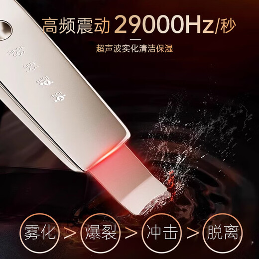 RASW German blackhead shovel ultrasonic blackhead remover electric blackhead suction tool pore cleaning import and export acne removal tool beauty instrument birthday gift anniversary gift for girls top model LED red and blue light skin care + delicate pores + ion export