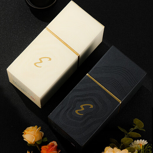 PILOT Hot Products Elite95s Elite Folding Pen Set 14k Gold Pen Tip Business Office Adult Pen F-Nib Champagne Cap (With Ink)