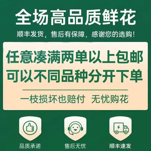 Yunnan flowers wholesale quality rose lily water-grown fresh cut flowers for your girlfriend’s birthday gift straight from the source Purple roses - 10 pieces (small buds, indefinite variety) Choose 2 pieces No shipping fee