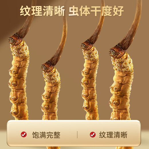 雷允上冬虫夏草3.2根/g 50g约160根虫草礼盒送领导送长辈滋补品