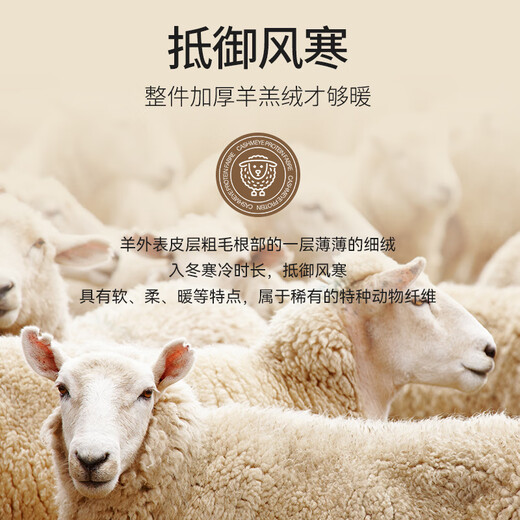 Caiyue thermal vest men's lamb velvet autumn and winter cold protection plus velvet thickened thermal underwear slim bottoming shirt waistcoat