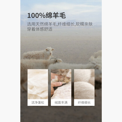 HECHTERpolo collar 100% wool sweater men's autumn and winter warm top business casual high-end dark gray-hot selling color L