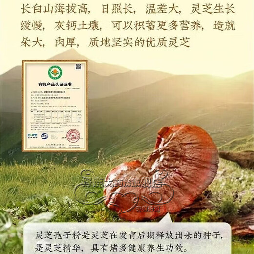 Пекинский порошок спор ганодермы Tongrentang для повышения иммунитета, подарки для посещения, послеоперационная подарочная коробка для подарков для людей среднего и пожилого возраста, 2 коробки