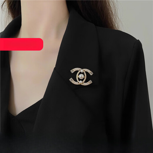 SNQP Korean light luxury temperament small fragrance style letter pearl brooch for women exquisite fashion suit sweater accessories pearl zircon earrings-silver needle