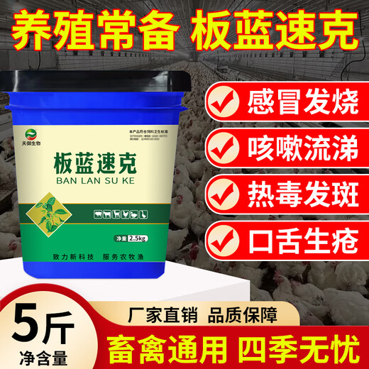 Veterinary Isatis and pink pigs, cattle and sheep, heat-clearing, detoxifying, swelling and analgesic for chickens, ducks and geese, anti-viral fever feed additives 1 barrel 2.5kg (buy 7 and get 1 free)