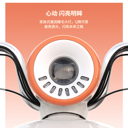 Emma store pick-up Yuanshi Q20 electric tricycle small covered car to pick up children and the elderly mobility scooter Select color in store to pick up the car